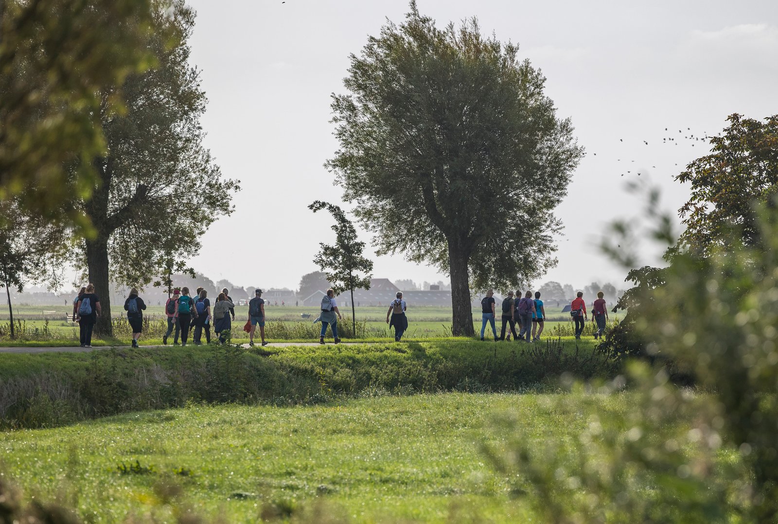 Wandelaars in het Friese landschap tijdens Marathon Sneek 2026